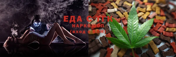эйфоретик Алзамай