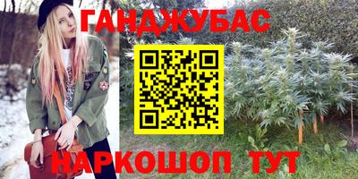 стафф Шелехов