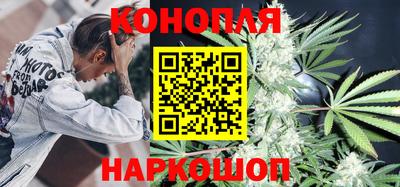 стафф Шелехов