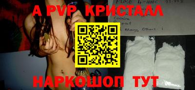 стафф Шелехов