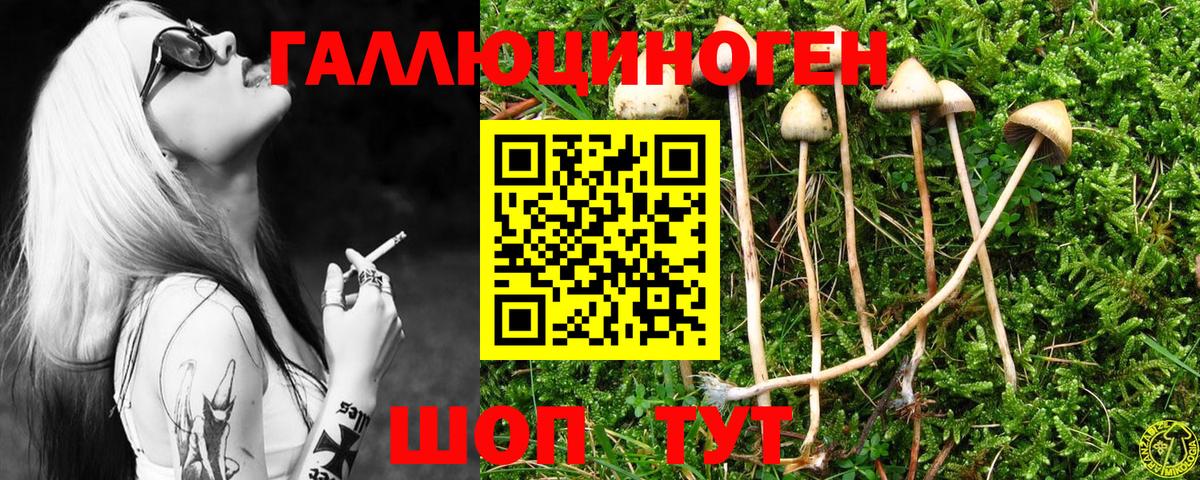 Галлюциногенные грибы Magic Shrooms  Вход с VPN  Александров 