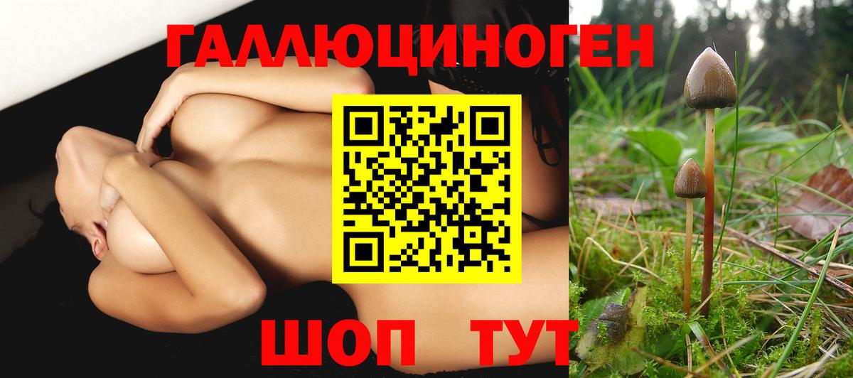 Галлюциногенные грибы прущие грибы Александров