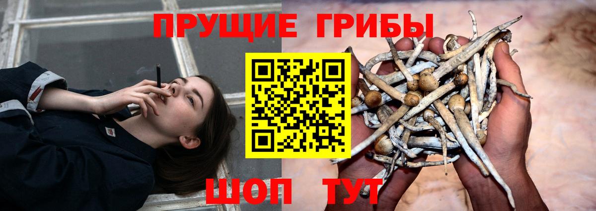 Амфетамин   Меф МЯУ МЯУ   Александров  COCAIN  А ПВП СОЛЬ кристаллы  ГАШИШ  Марихуана  Мефедрон кристаллы 